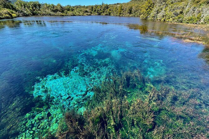 Golden Bay in a Day - A Scenic Journey Over Takaka Hill