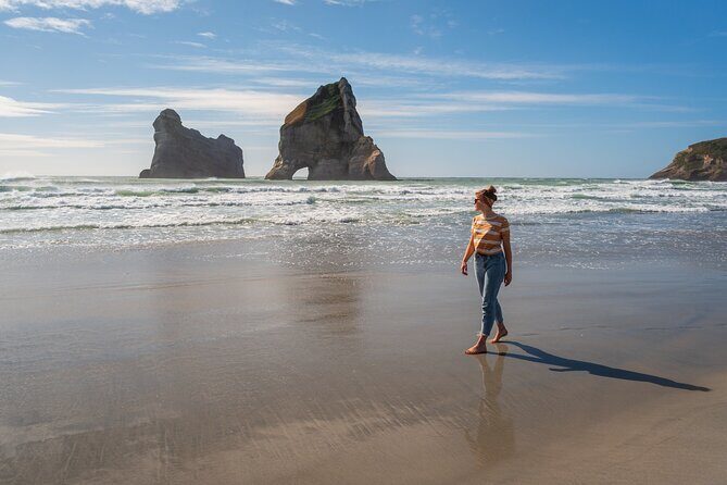 Golden Bay in a Day - Comfortable Transportation and Small Group Dynamics