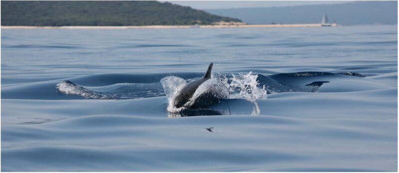 Golden Beach & Blue Cave Exclusive Private Boat Tour - What the Experience Feels Like