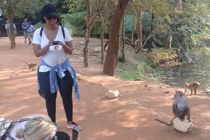 Golden beach Negombo to lion rock sigiriya hiking - FAQ