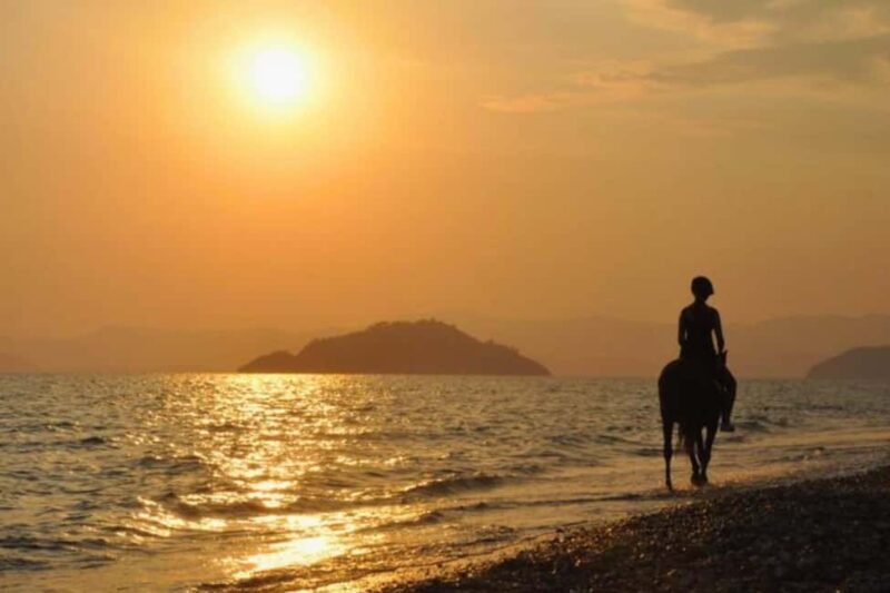 Golden Beach Sunrise: Horse Riding - Introduction