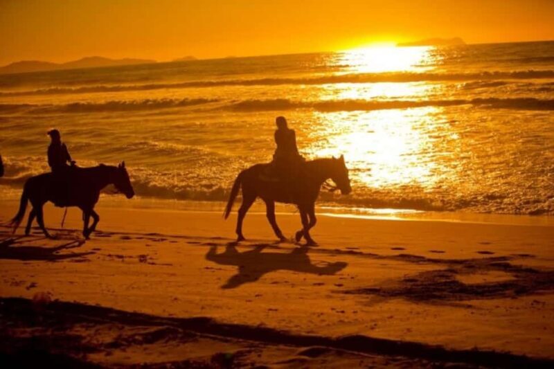 Golden Beach Sunrise: Horse Riding - Key Points