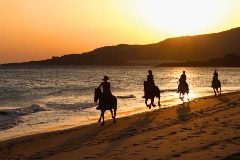 Golden Beach Sunrise: Horse Riding - The Value & Practicalities