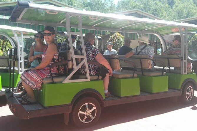 GOLDEN BRIDGE-COCONUT JUNGLE-HOI AN-NIGHT MARKET-Private Transfer - Who Should Consider This Tour?