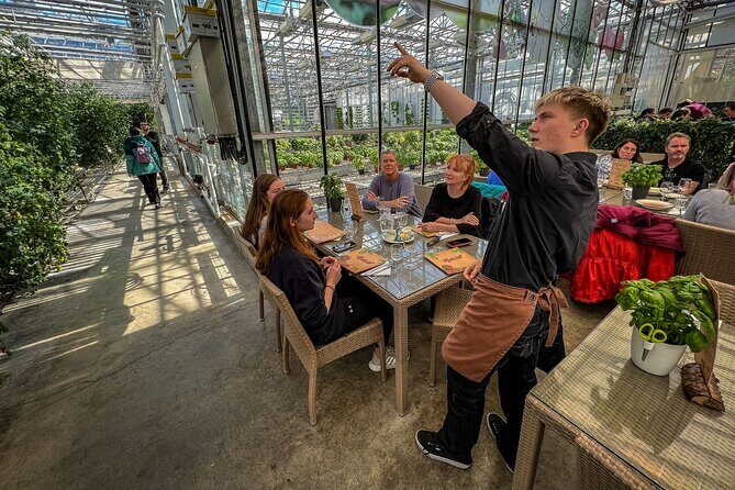 Golden Circle and Lunch at Fridheimar Tomato Farm - with photos - What Reviewers Say – Authentic Insights