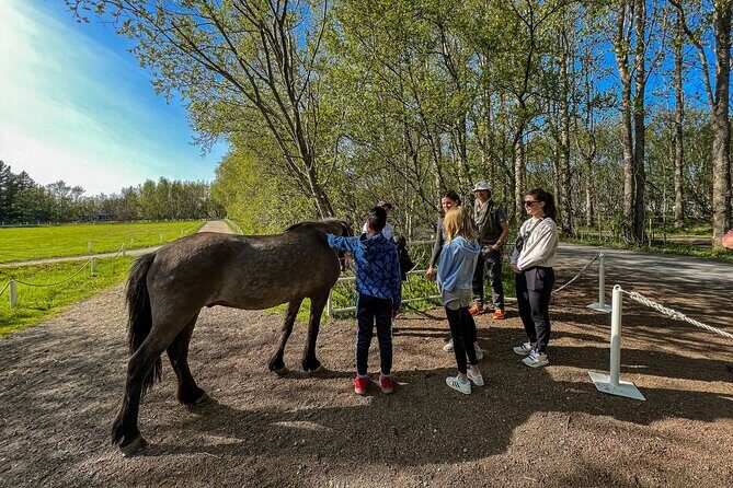 Golden Circle and Lunch at Fridheimar Tomato Farm - with photos - The Sum Up: Who Will Love This Tour?