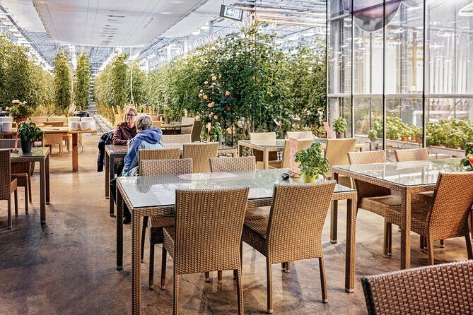 Golden Circle Day Tour in Mini Bus from Reykjavik with Fridheimar Tomato Farm - Who Will Love This Tour?