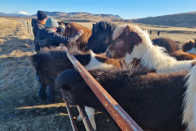 Golden Circle Experience - Private Eco Tour - Final Thoughts