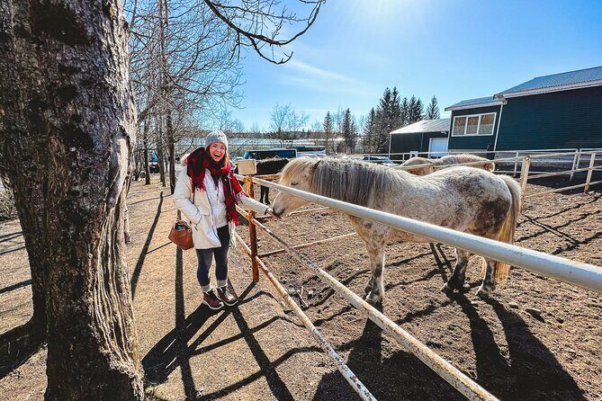 Golden Circle, Silfra Snorkeling & Fridheimar Tomato Farm Lunch - Who Is This Tour Best For?
