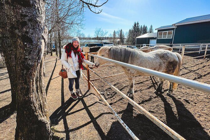 Golden Circle, Tomato Farm Lunch & Sky Lagoon - with photos - Sky Lagoon: The Relaxing Finale