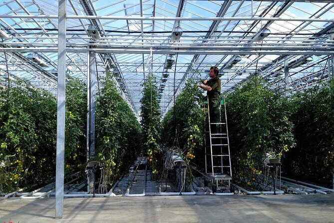 Golden Circle Tour and Evening Northern Lights Cruise from Reykjavik - Price and Value