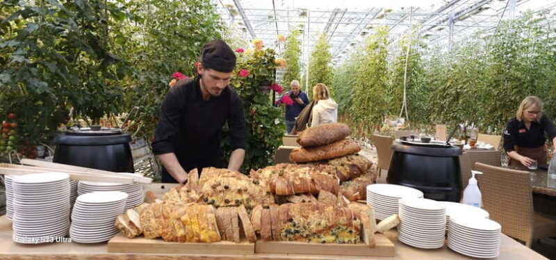 Golden Circle with Tomato Farm and Secret Lagoon(Optional) - An In-Depth Look at the Tour Experience