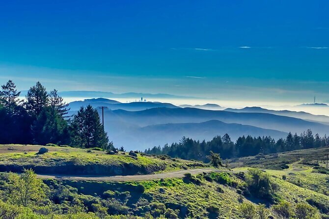 Golden Gate Bridge Bike Tour with Muir Woods & Sausalito Tour - The Sum Up