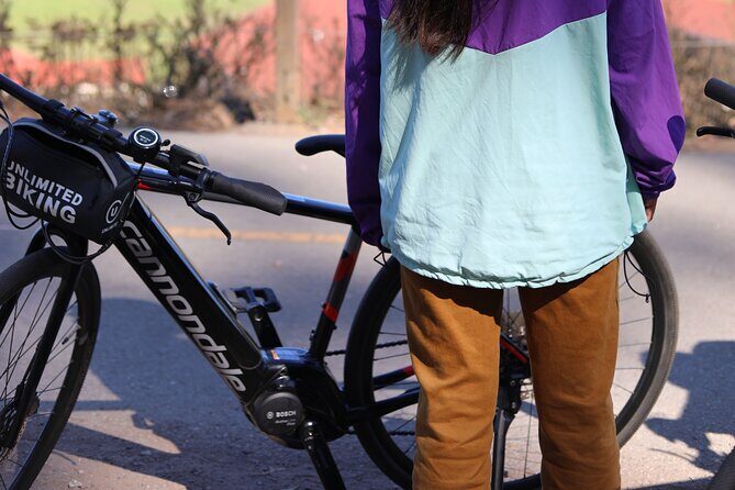 Golden Gate Park Electric Bike Rental - Is It Worth the Price?