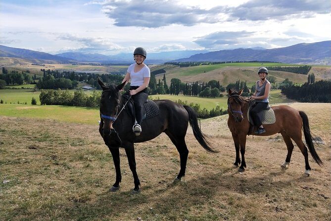Golden Hills Horse Trek in Central Otago - An Honest Look at the Experience