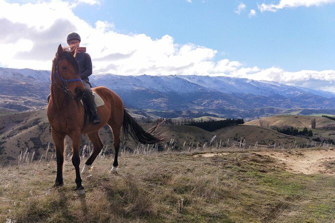 Golden Hills Horse Trek in Central Otago - The Sum Up