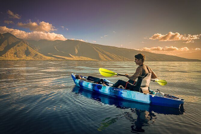 Golden Hour Kayak And Whale Watch - Key Points