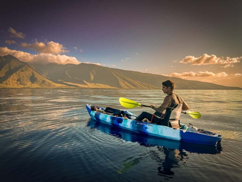 Golden Hour Kayak Cruise Through Turtle Town - What Travelers Say: Authentic Perspectives