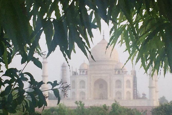 Golden Triangle 3 Days - Analyzing the 3-Day Golden Triangle Experience