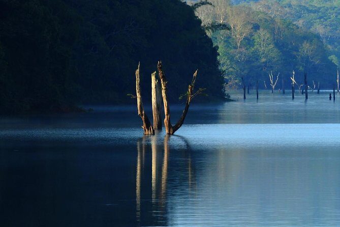 Golden Triangle Tour with Kerala - The Itinerary Breakdown