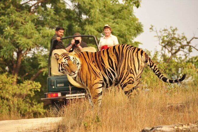 Golden Triangle Tour with Ranthambore (5 Star Hotel) - Exploring the Itinerary: What You Can Expect