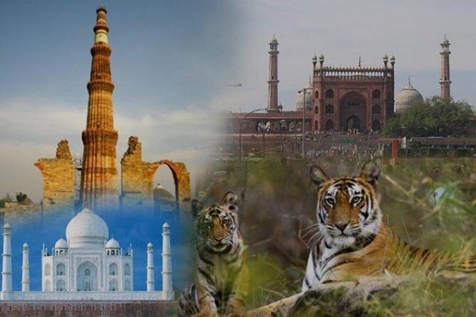 Golden Triangle Tour with Wildlife / Taj & Tiger - An In-Depth Look at the Itinerary