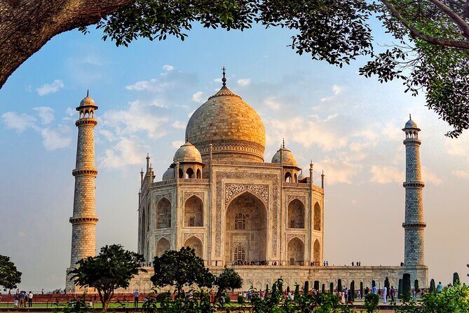 Golden Triangle with Wildlife and Royal Castle Stay - What We Loved About This Tour
