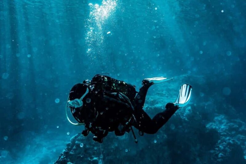 Golem/Durres: Ionian Sea Scuba Diving Experience - Introduction