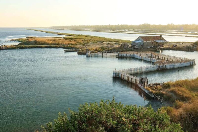 Golem/Durrës: Karavasta Lagoon Tour - Key Points