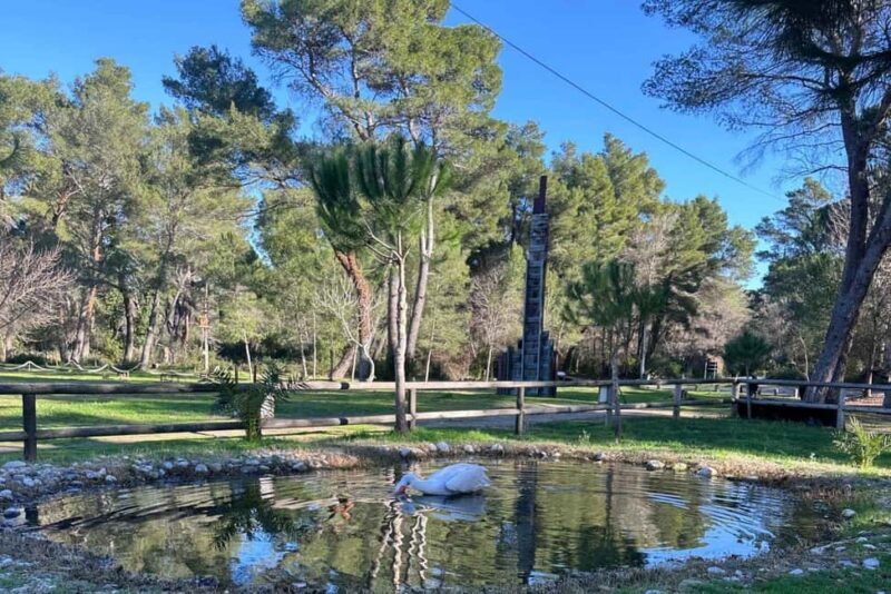 Golem/Durrës: Karavasta Lagoon Tour - Detailed Review of the Karavasta Lagoon Tour