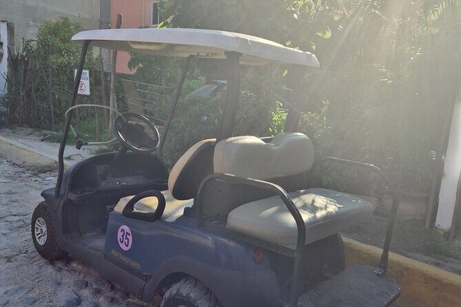 Golf Cart Rental in Sayulita - What Travelers Say: Authentic Feedback