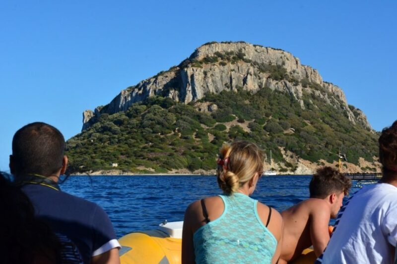 Golfo Aranci: Eco-Friendly Dolphin Watching Boat Trip - A Deep Dive into the Dolphin Watching Experience