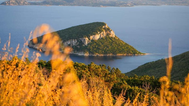 Golfo Aranci: Guided panoramic hike with aperitif and photos - Who Will Love This Tour?