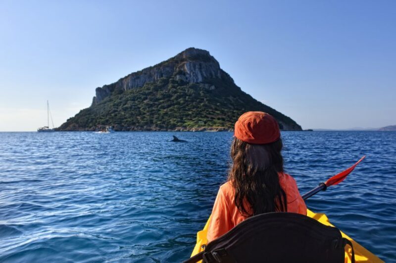 Golfo Aranci: Kayak Tour with Dolphins and Aperitif - The Experience in Detail