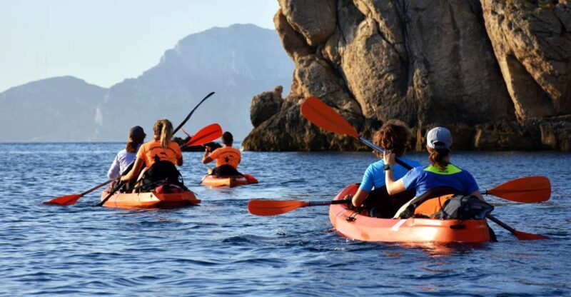 Golfo Aranci: Kayak Tour with Dolphins and Aperitif - Frequently Asked Questions