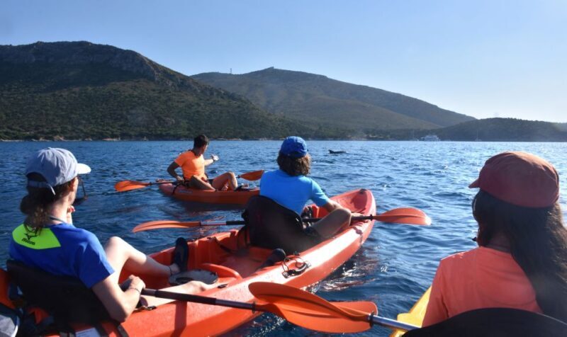 Golfo Aranci: Kayak Tour with Dolphins and Aperitif - Final Thoughts
