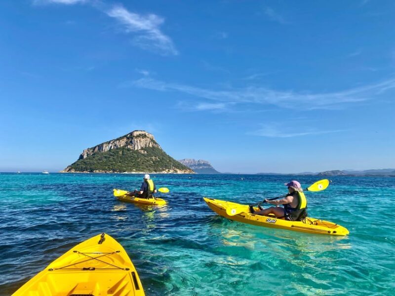 Golfo Aranci: Small group Kayak tour with Aperitif &dolphins - The Itinerary in Detail