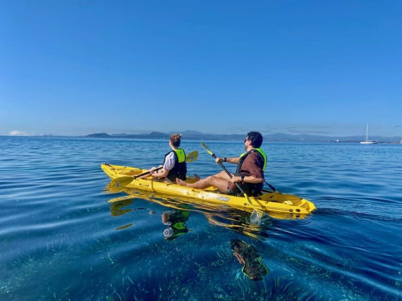 Golfo Aranci: Small group Kayak tour with Aperitif &dolphins - Practical Details