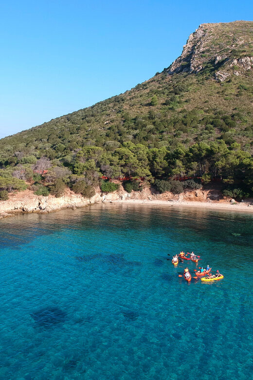 Golfo Aranci: Sunrise Dolphin Kayak Tour with Breakfast - Dolphin Encounters
