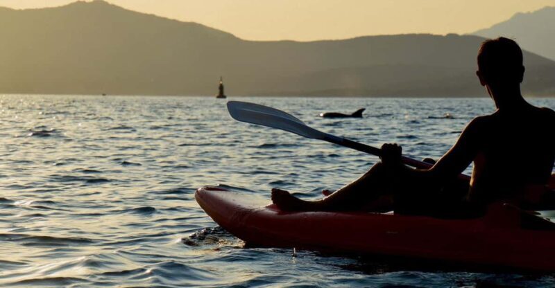 Golfo Aranci: Sunset Dolphin Kayak Tour with Aperitif - An In-Depth Look at the Sunset Dolphin Kayak Tour