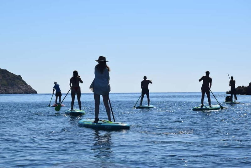 Golfo Aranci: Sup with dolphins, aperitif & photo shoot - FAQs