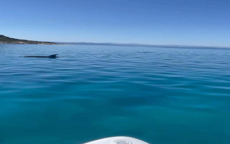 Golfo Aranci tour SUP Paddleboard Dolphin watching, aperitif - Analyzing the Value: Is It Worth It?