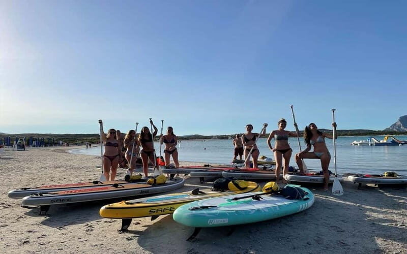 Golfo Aranci tour SUP Paddleboard Dolphin watching, aperitif - Who Is This Tour Best For?