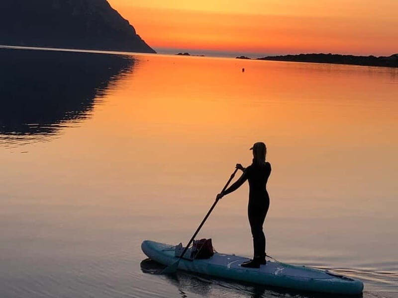 Golfo Aranci tour SUP Paddleboard Dolphin watching, aperitif - Final Thoughts