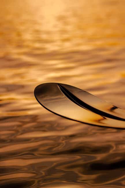 Golfo Aranci: traditional or transparent kayaks, dolphins, and aperitifs - A Deep Dive into the Experience