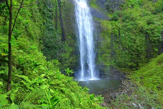 Gonio and Adjarian Highland Tour - An In-Depth Look at the Gonio and Adjarian Highland Tour