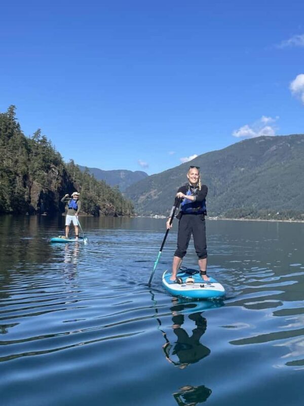 Gordon Bay: 1.5-Hour Paddleboard Tour of Gordon Bay Islands - Starting Point and What to Expect