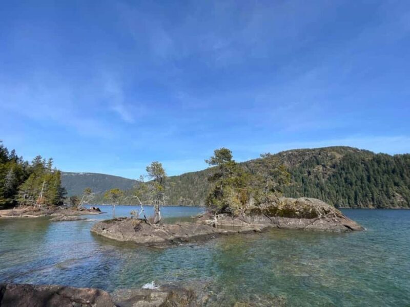 Gordon Bay: 1.5-Hour Paddleboard Tour of Gordon Bay Islands - Who Would Love This Tour?