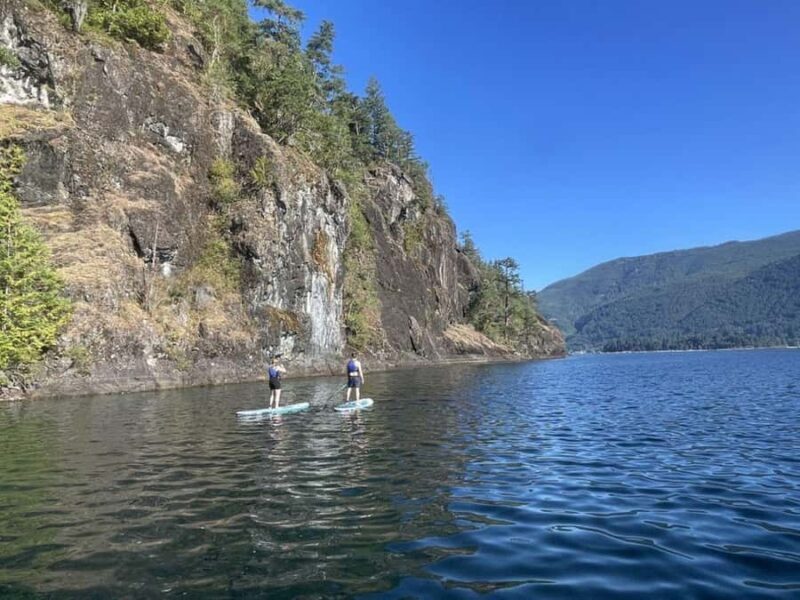 Gordon Bay: 1.5-Hour Paddleboard Tour of Gordon Bay Islands - Final Thoughts