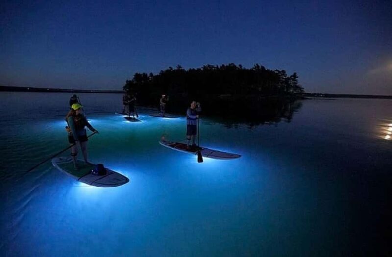 Gordon Bay: Paddleboard Glow Cruise Light & Sound Experience - An In-Depth Look at the Paddleboard Glow Cruise